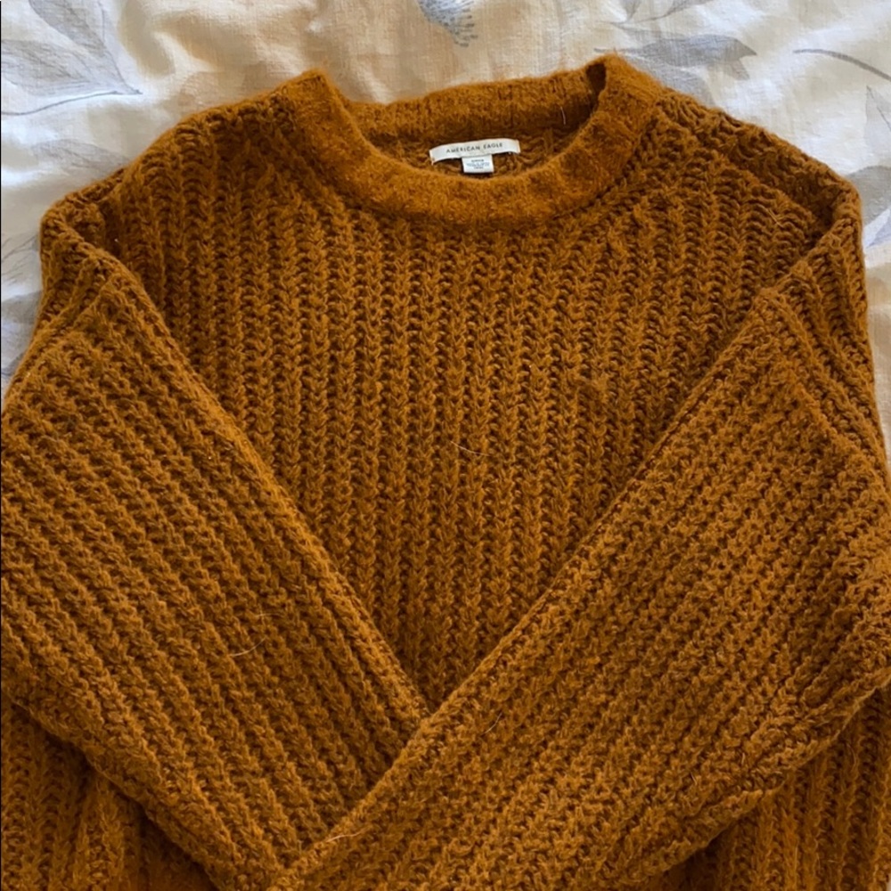 Brown American Eagle Knit Sweater